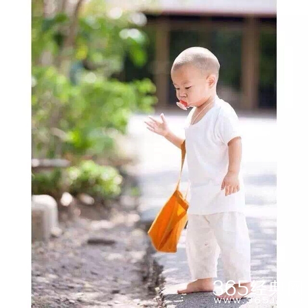 萌了一脸 泰国史上超萌小和尚