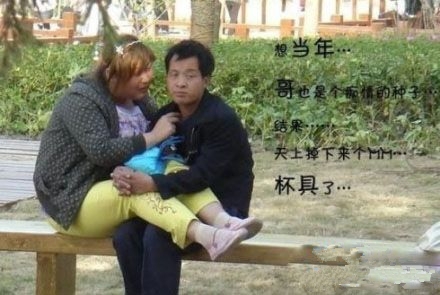 2015网络流行经典语