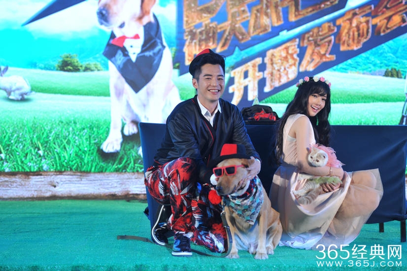 《神犬小七》开播礼 郭碧婷抱狗狗金世佳被猪吻