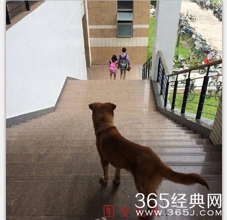 经典哥：论街上秀恩爱的必要性！2015.08.10