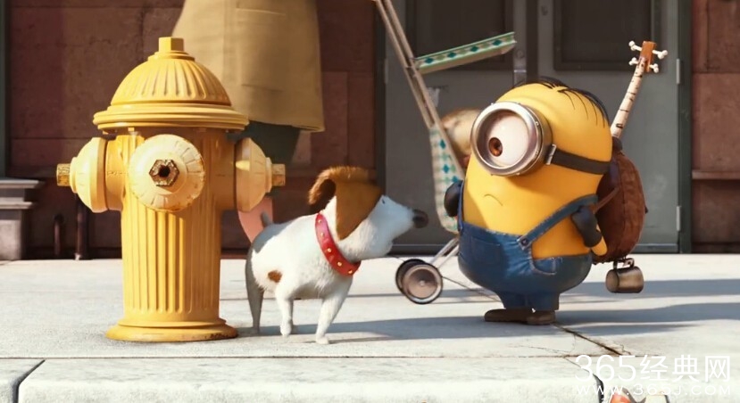 小黄人大眼萌影评