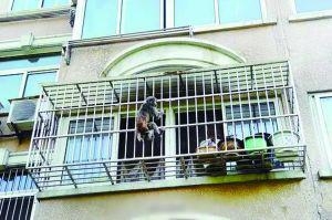 经典哥：论街上秀恩爱的必要性！2015.08.10