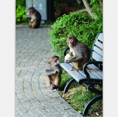 经典哥：论街上秀恩爱的必要性！2015.08.10