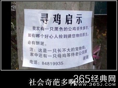 经典哥：论街上秀恩爱的必要性！2015.08.10