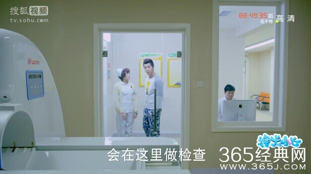 神犬小七第2集剧情介绍