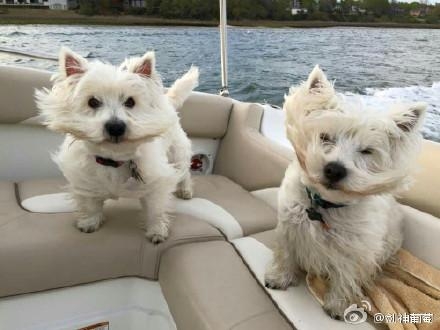 经典哥：这个世界变得有点乱！2015.08.11