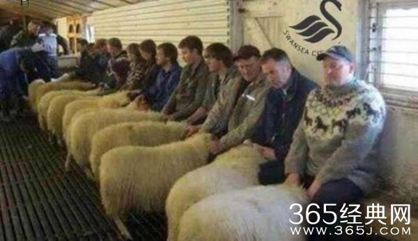 威尔士父子三人经营羊妓院被捕！