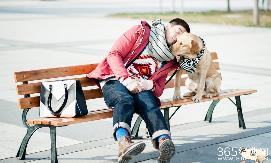 《神犬小七》小七得癌症了吗最后有没有治好