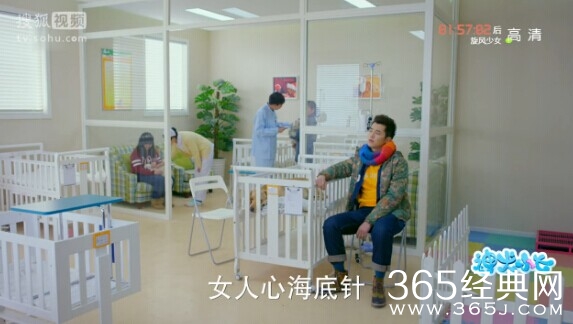 神犬小七第5集剧情介绍