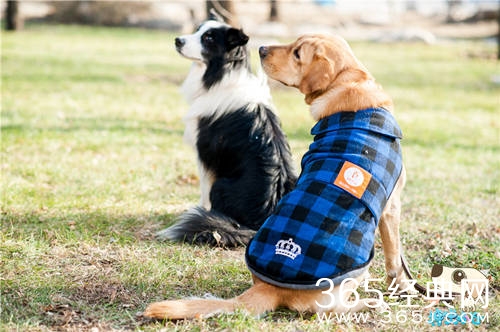 蒙面歌王第五期有哪些歌曲