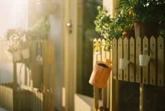 早安心语：孤单的心，是梦醒之后，没有一个能倾诉的你。2015.08.13