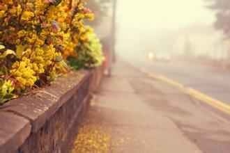 早安心语：孤单的心，是梦醒之后，没有一个能倾诉的你。2015.08.13