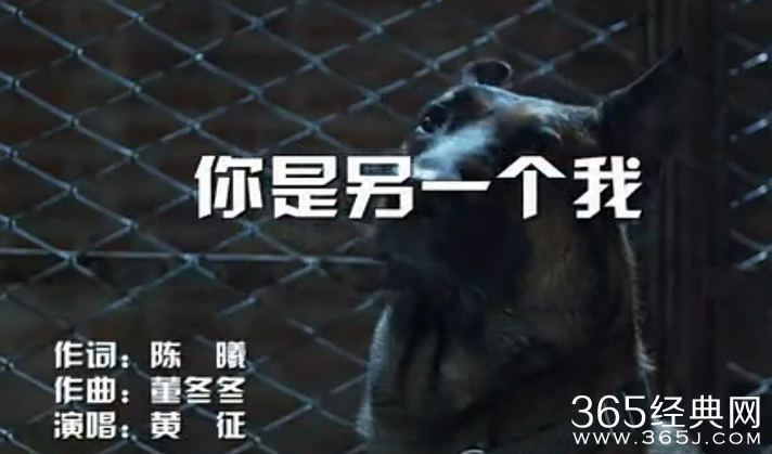 《神犬小七》第5集插曲是什么？吕一丹录视频时背景音乐是什么？