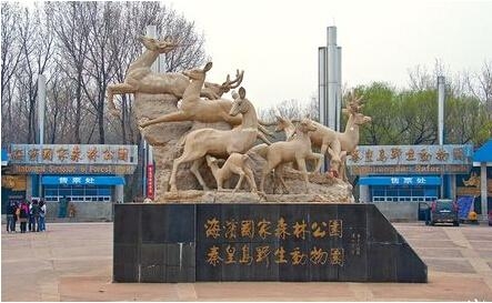 经典哥：生命不是儿戏请珍惜！2015.08.13