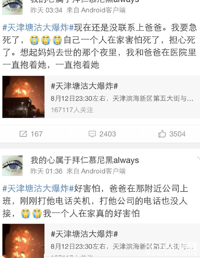 杨彩兰个人资料照片 杨彩兰诈骗事件揭秘