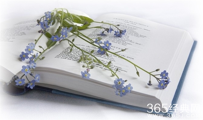 年轮——每一个刹那都是唯一