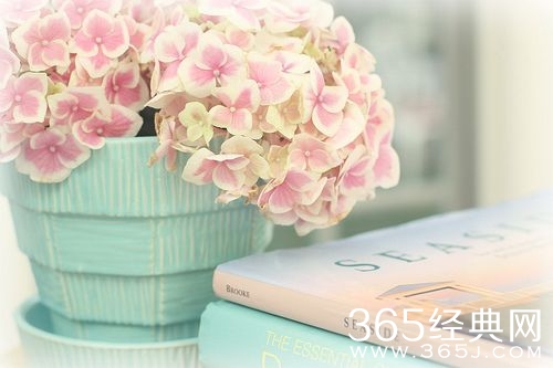 早安心语：不去期望，失去了不会伤心，得到了便是惊喜。2015.08.14