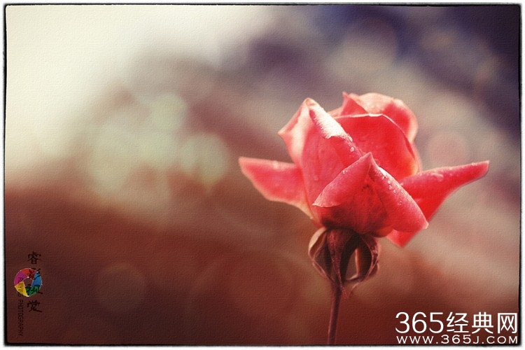 明星出书圈粉书有什么变化