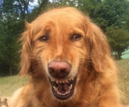 经典哥：人间自有真情在！2015.08.14