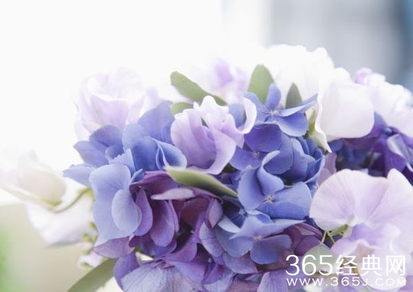 时隔境迁,情怀未改