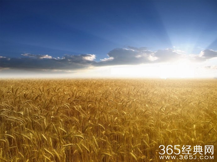 那么努力，只为赢过昨天的自己