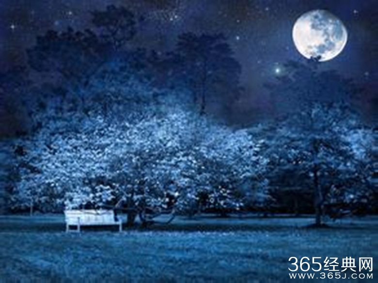 人生之路必须要知道的二十五条励志金言