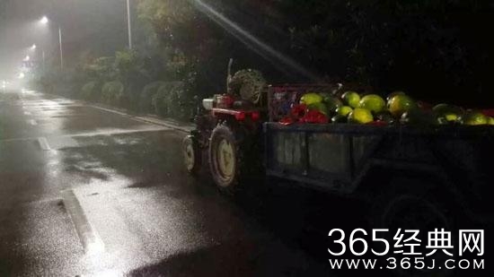 经典哥：不仅坑爹还坑爷爷。2015.08.17