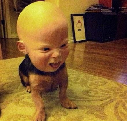 经典哥：不仅坑爹还坑爷爷。2015.08.17