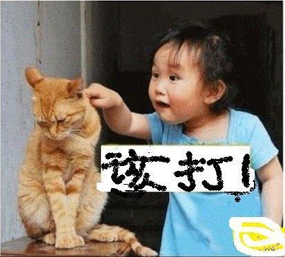 经典哥：不仅坑爹还坑爷爷。2015.08.17