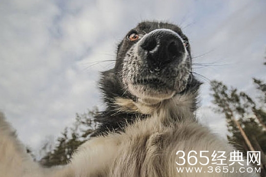 经典哥：不仅坑爹还坑爷爷。2015.08.17