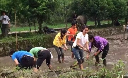 《十二道锋味》2第三期视频在线观看_爱奇艺高清