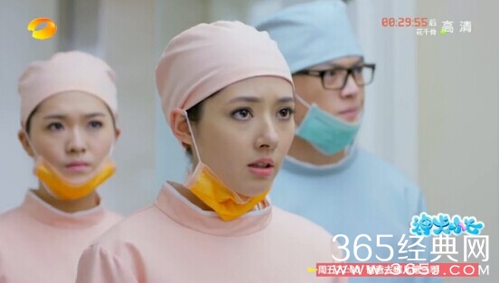 神犬小七第14集剧情介绍