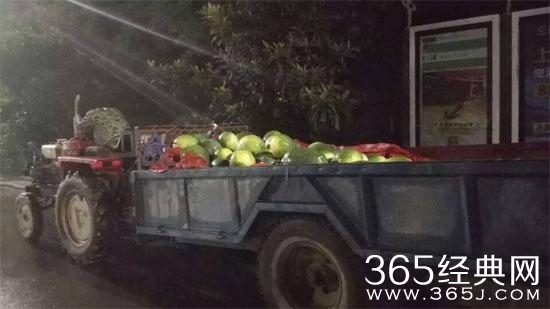 经典哥：不仅坑爹还坑爷爷。2015.08.17