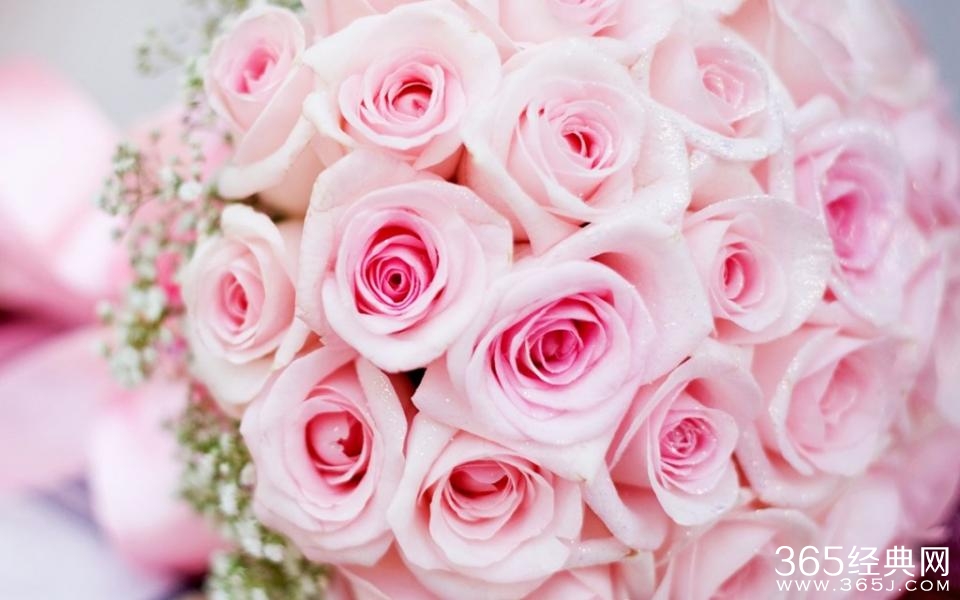 七夕情人节礼物