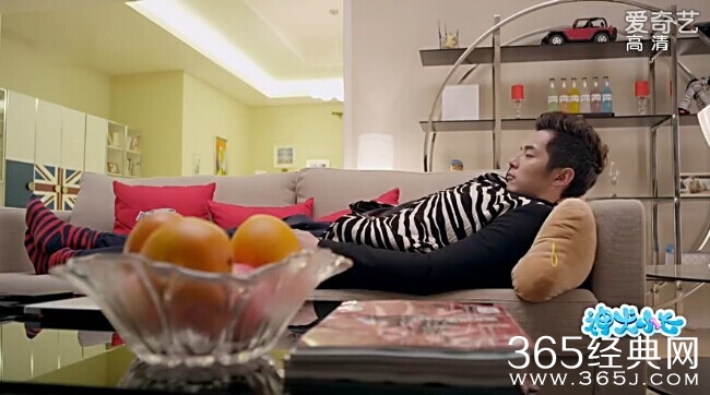 神犬小七第11集剧情介绍