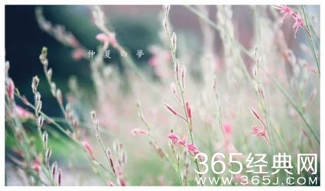 早安心语：陪伴，就是不管你需不需要，我一直都在。2015.08.18