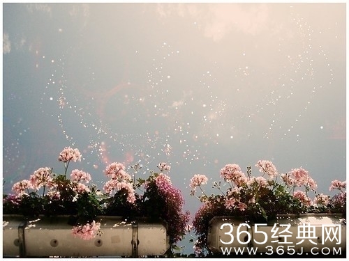 倚窗听雨