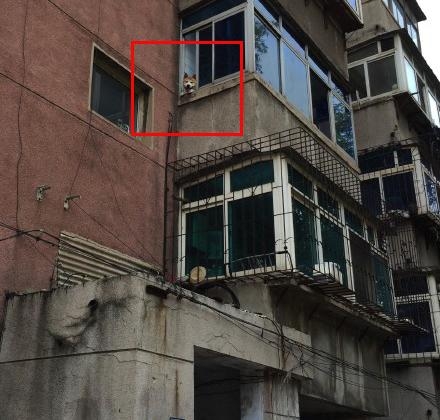 经典哥：女神生个孩子容易嘛！2015.08.18