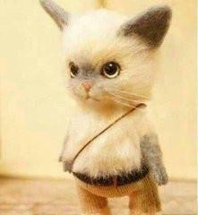 经典哥：女神生个孩子容易嘛！2015.08.18