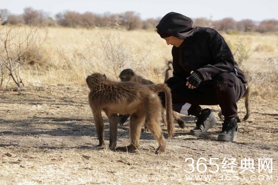 韩庚遭狒狒扒裤