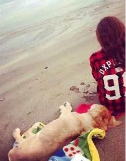 欧弟妻子与爱犬遗体