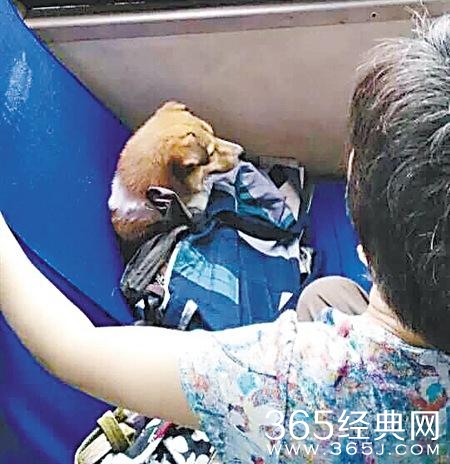 经典哥：明明可以靠身份却要靠演技！2015.08.19