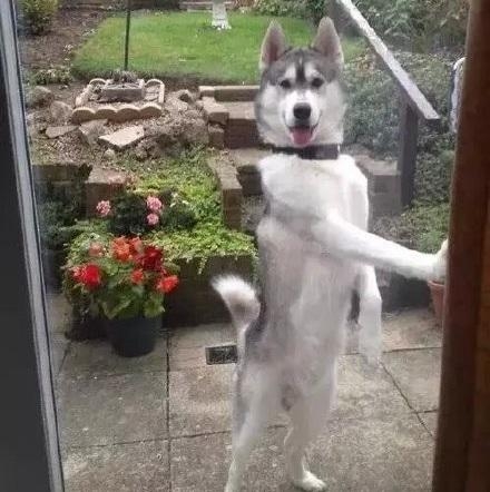 经典哥：明明可以靠身份却要靠演技！2015.08.19