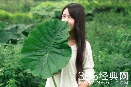 早安心语：没有情人的情人节。2015.08.20