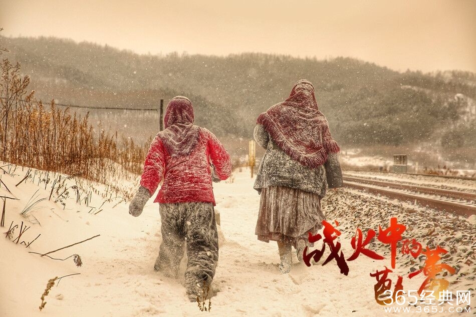 战火中的芭蕾影评