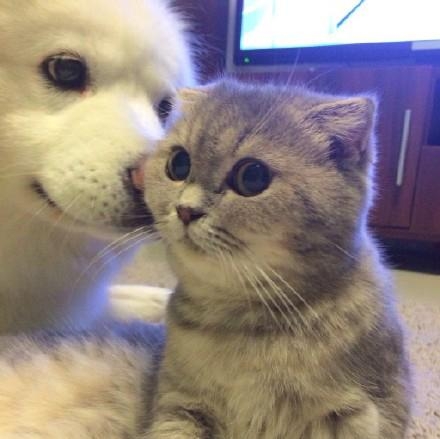 经典哥：今天你们秀恩爱了吗？2015.08.20