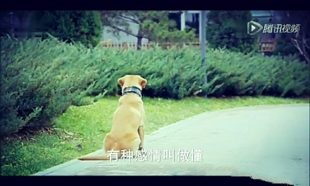 小七love1314是怎么回事？小七love1314与七夕情人节什么关系？