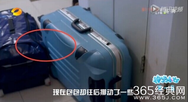 电视神犬小七穿帮镜头第一期