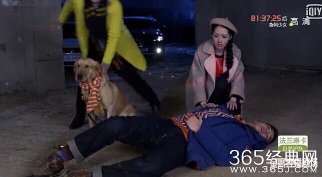 神犬小七第19集剧情介绍