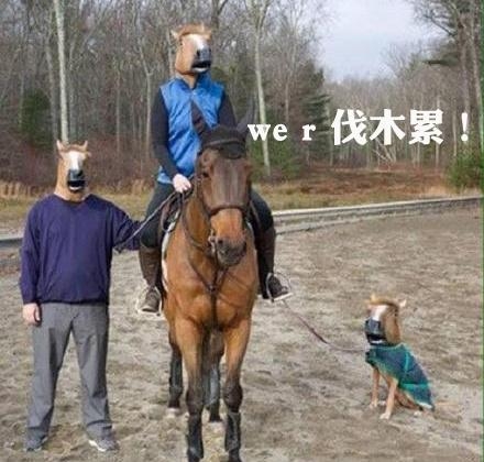 经典哥：今天你们秀恩爱了吗？2015.08.20